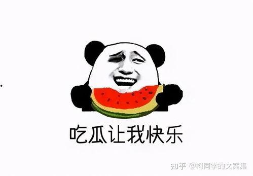 娱乐吃瓜文案图片可爱